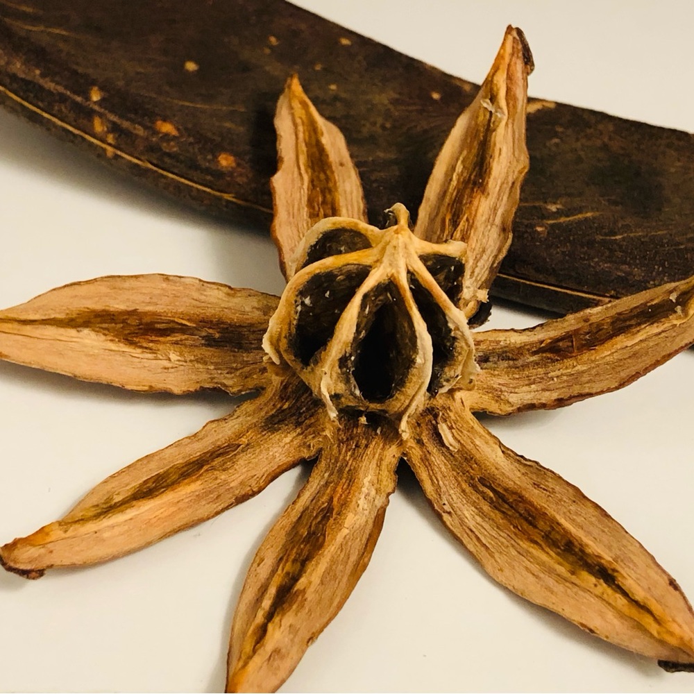 Dried Decor 10pc Wood Flower